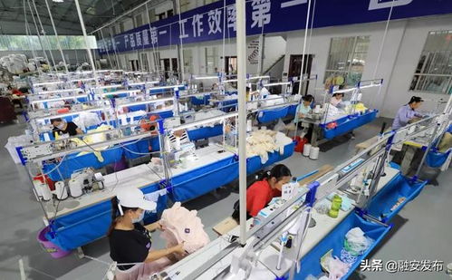 山海呼應(yīng) 一竹一企一園 帶動(dòng)群眾增收脫貧